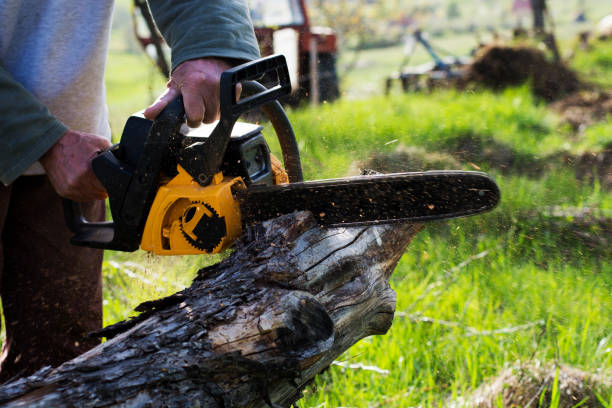 Best Storm Damage Tree Cleanup  in Mount Joy, PA